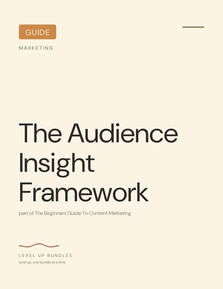 The Audience Insight Framework